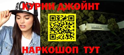гидра Кингисепп