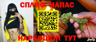 гидра Кингисепп