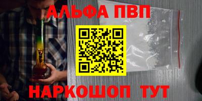 гидра Кингисепп